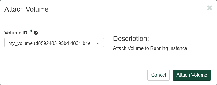 Attach Volume dialog box. The Volume ID is set to my_volume.