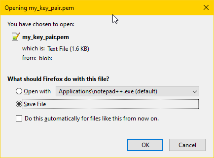 Download File dialog on Firefox for Windows. The file being downloaded is my_key_pair.pem.