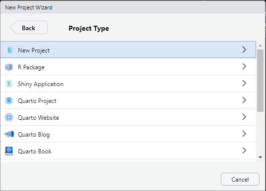 Choose which type of project you are wanting to create. This will initialize some files that correspond to specific types of projects depending on what you choose.